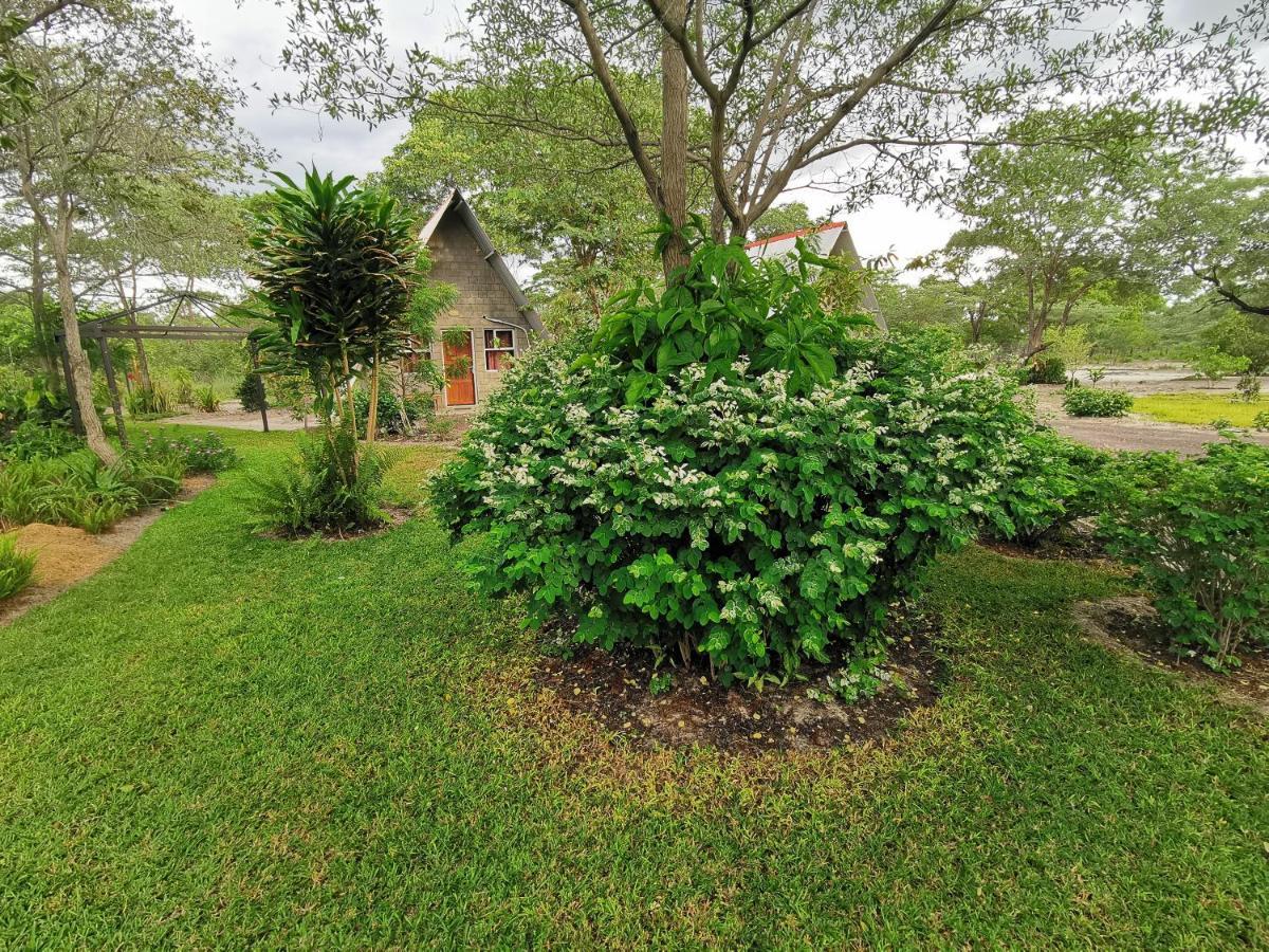 Happy Forest B&B Katima Mulilo Εξωτερικό φωτογραφία